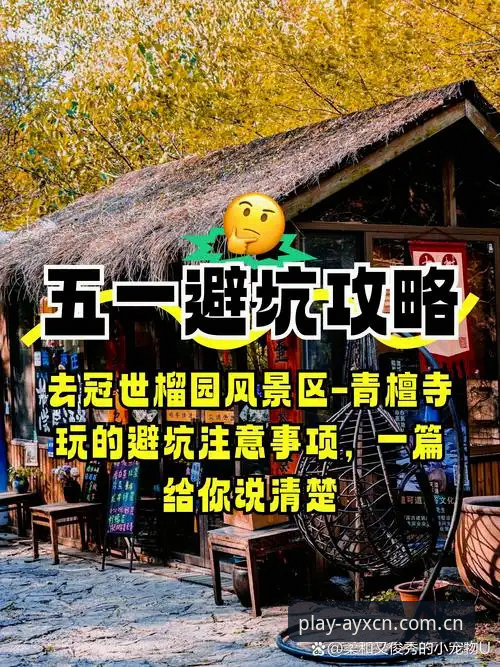 爱游戏平台v2.0.5中文站服务点最新动态：苹果端入口避坑指南与实测数据